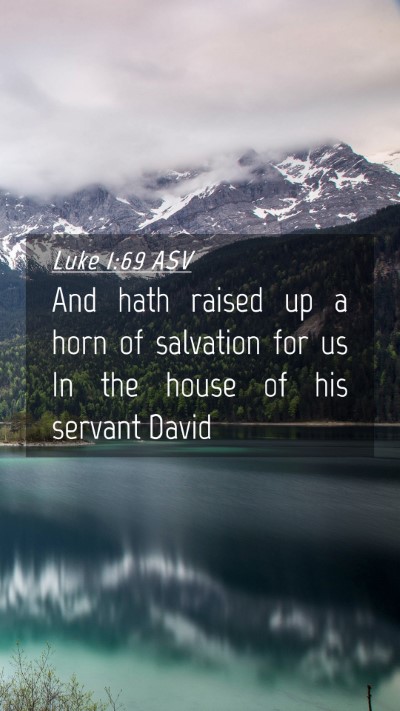 Picture 04 - Luke 1:69 ASV Mobile Phone Wallpaper - And hath raised up a horn of salvation for us In - Mobile Bible Verse Wallpaper