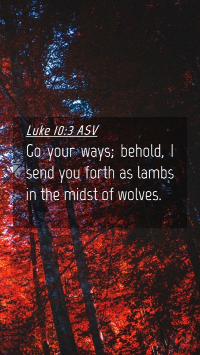 Picture 04 - Luke 10:3 ASV Mobile Phone Wallpaper - Go your ways; behold, I send you forth as lambs - Mobile Bible Verse Wallpaper