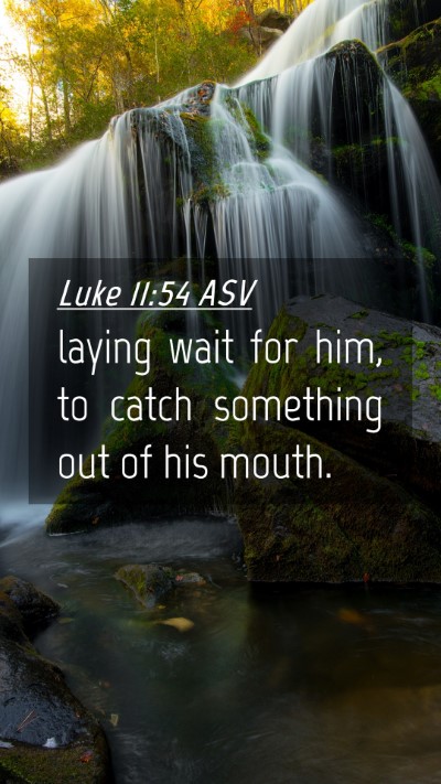 Picture 04 - Luke 11:54 ASV Mobile Phone Wallpaper - laying wait for him, to catch something out of - Mobile Bible Verse Wallpaper