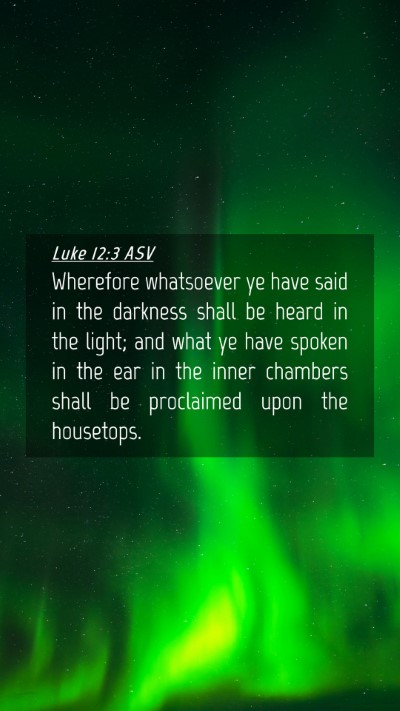 Picture 04 - Luke 12:3 ASV Mobile Phone Wallpaper - Wherefore whatsoever ye have said in the darkness - Mobile Bible Verse Wallpaper