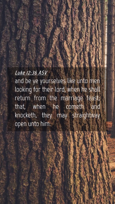 Picture 04 - Luke 12:36 ASV Mobile Phone Wallpaper - and be ye yourselves like unto men looking for - Mobile Bible Verse Wallpaper