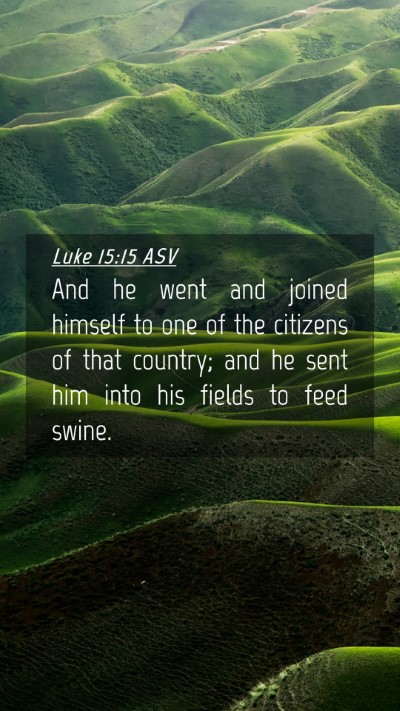 Picture 04 - Luke 15:15 ASV Mobile Phone Wallpaper - And he went and joined himself to one of the - Mobile Bible Verse Wallpaper