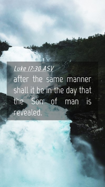Picture 04 - Luke 17:30 ASV Mobile Phone Wallpaper - after the same manner shall it be in the day that - Mobile Bible Verse Wallpaper