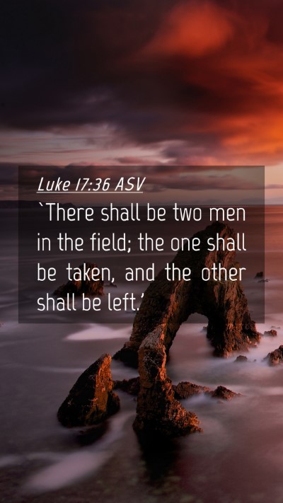 Picture 04 - Luke 17:36 ASV Mobile Phone Wallpaper - `There shall be two men in the field; the one - Mobile Bible Verse Wallpaper