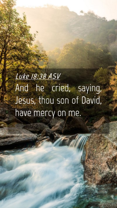Picture 04 - Luke 18:38 ASV Mobile Phone Wallpaper - And he cried, saying, Jesus, thou son of David, - Mobile Bible Verse Wallpaper
