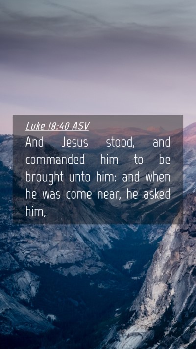 Picture 04 - Luke 18:40 ASV Mobile Phone Wallpaper - And Jesus stood, and commanded him to be brought - Mobile Bible Verse Wallpaper