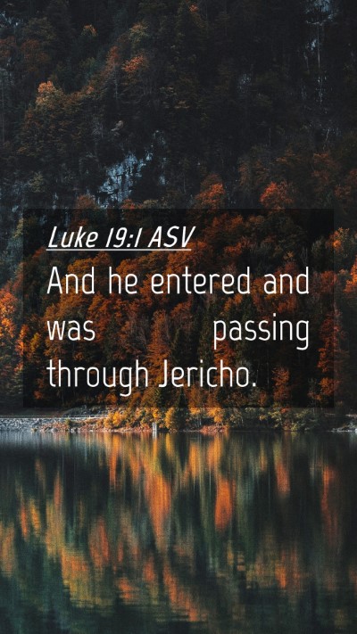 Picture 04 - Luke 19:1 ASV Mobile Phone Wallpaper - And he entered and was passing through - Mobile Bible Verse Wallpaper
