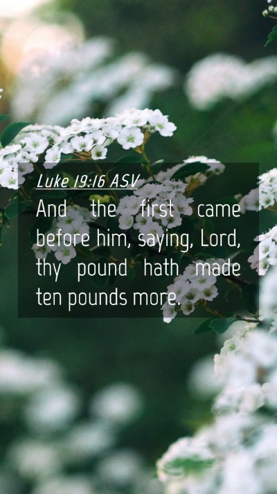 Picture 04 - Luke 19:16 ASV Mobile Phone Wallpaper - And the first came before him, saying, Lord, thy - Mobile Bible Verse Wallpaper