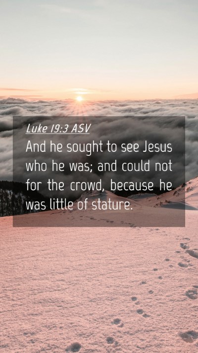 Picture 04 - Luke 19:3 ASV Mobile Phone Wallpaper - And he sought to see Jesus who he was; and could - Mobile Bible Verse Wallpaper