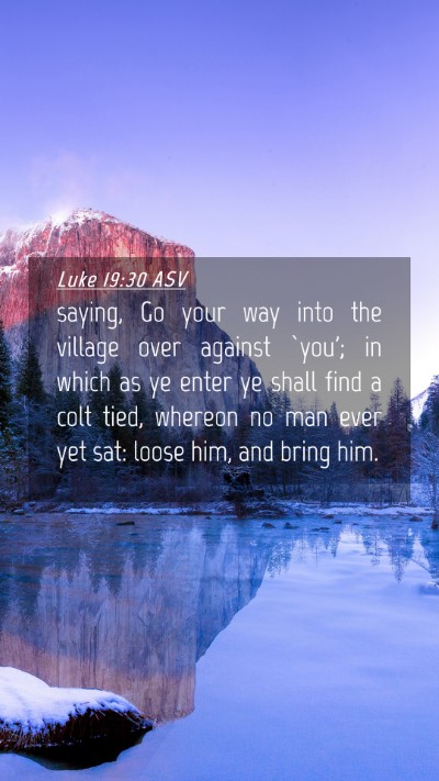 Picture 04 - Luke 19:30 ASV Mobile Phone Wallpaper - saying, Go your way into the village over against - Mobile Bible Verse Wallpaper