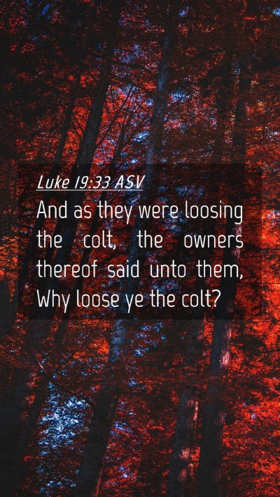 Picture 04 - Luke 19:33 ASV Mobile Phone Wallpaper - And as they were loosing the colt, the owners - Mobile Bible Verse Wallpaper