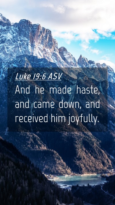 Picture 04 - Luke 19:6 ASV Mobile Phone Wallpaper - And he made haste, and came down, and received - Mobile Bible Verse Wallpaper