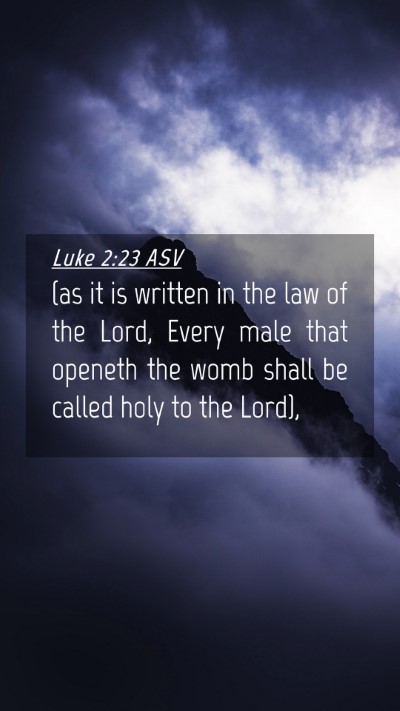 Picture 04 - Luke 2:23 ASV Mobile Phone Wallpaper - (as it is written in the law of the Lord, Every - Mobile Bible Verse Wallpaper