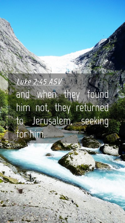 Picture 04 - Luke 2:45 ASV Mobile Phone Wallpaper - and when they found him not, they returned to - Mobile Bible Verse Wallpaper