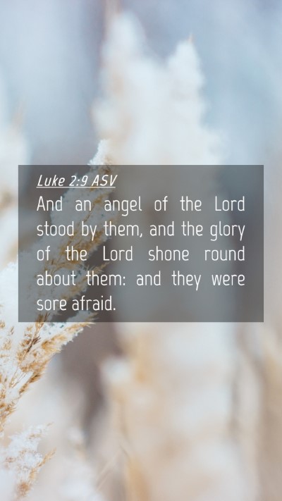 Picture 04 - Luke 2:9 ASV Mobile Phone Wallpaper - And an angel of the Lord stood by them, and the - Mobile Bible Verse Wallpaper