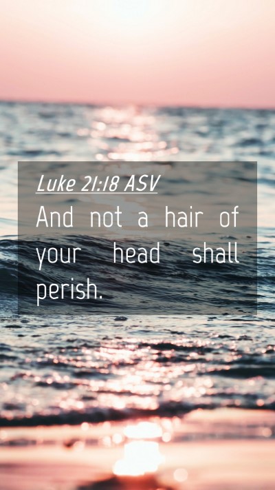 Picture 04 - Luke 21:18 ASV Mobile Phone Wallpaper - And not a hair of your head shall - Mobile Bible Verse Wallpaper
