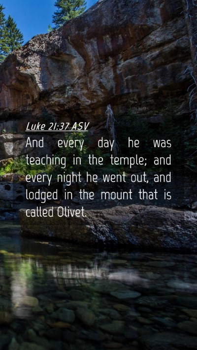 Picture 04 - Luke 21:37 ASV Mobile Phone Wallpaper - And every day he was teaching in the temple; and - Mobile Bible Verse Wallpaper