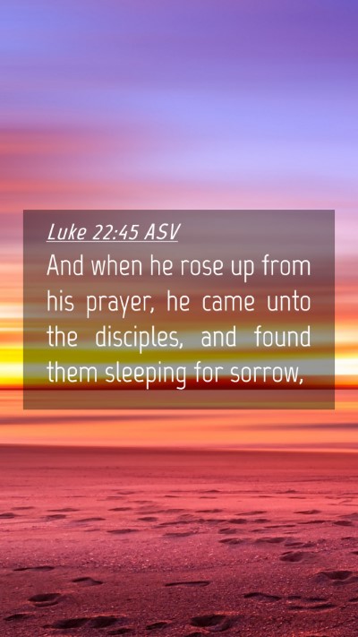 Picture 04 - Luke 22:45 ASV Mobile Phone Wallpaper - And when he rose up from his prayer, he came unto - Mobile Bible Verse Wallpaper