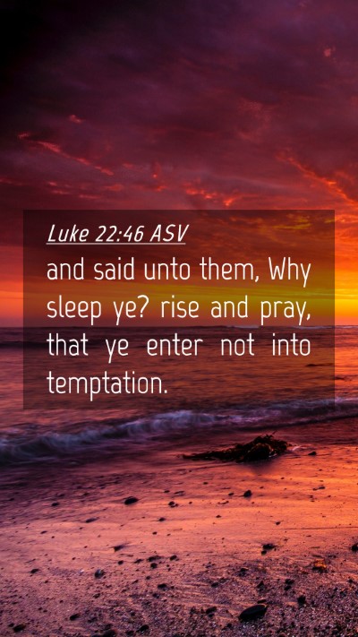 Picture 04 - Luke 22:46 ASV Mobile Phone Wallpaper - and said unto them, Why sleep ye? rise and pray, - Mobile Bible Verse Wallpaper