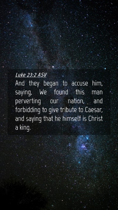 Picture 04 - Luke 23:2 ASV Mobile Phone Wallpaper - And they began to accuse him, saying, We found - Mobile Bible Verse Wallpaper