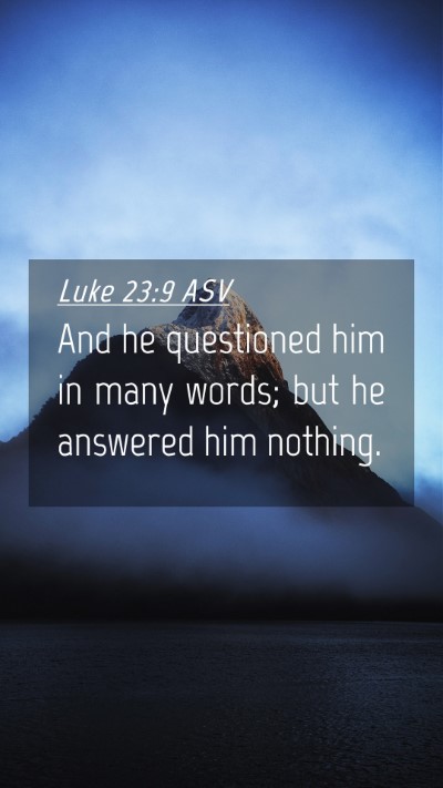 Picture 04 - Luke 23:9 ASV Mobile Phone Wallpaper - And he questioned him in many words; but he - Mobile Bible Verse Wallpaper