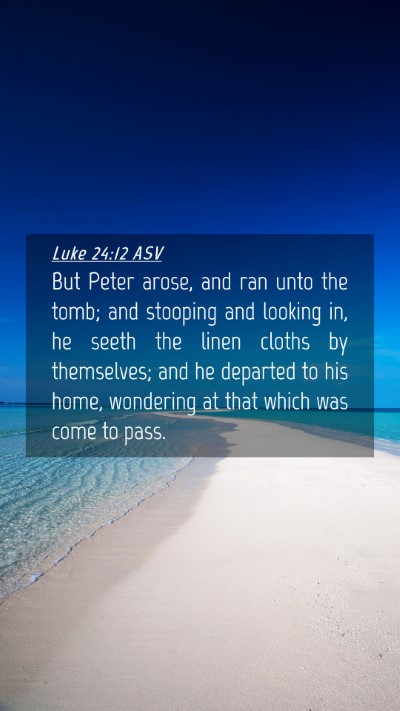 Picture 04 - Luke 24:12 ASV Mobile Phone Wallpaper - But Peter arose, and ran unto the tomb; and - Mobile Bible Verse Wallpaper