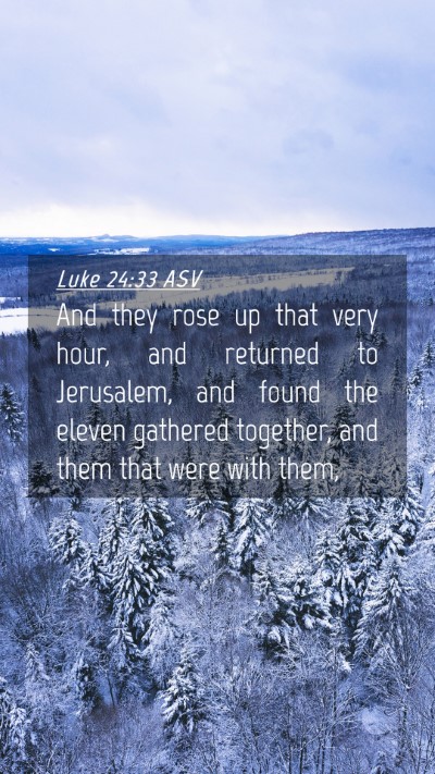 Picture 04 - Luke 24:33 ASV Mobile Phone Wallpaper - And they rose up that very hour, and returned to - Mobile Bible Verse Wallpaper