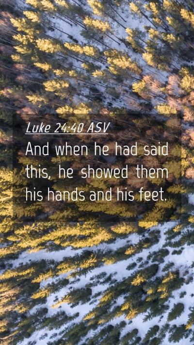 Picture 04 - Luke 24:40 ASV Mobile Phone Wallpaper - And when he had said this, he showed them his - Mobile Bible Verse Wallpaper
