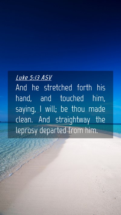 Picture 04 - Luke 5:13 ASV Mobile Phone Wallpaper - And he stretched forth his hand, and touched him, - Mobile Bible Verse Wallpaper