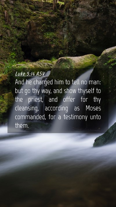 Picture 04 - Luke 5:14 ASV Mobile Phone Wallpaper - And he charged him to tell no man: but go thy - Mobile Bible Verse Wallpaper