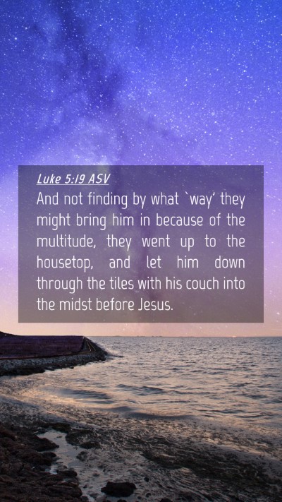 Picture 04 - Luke 5:19 ASV Mobile Phone Wallpaper - And not finding by what `way' they might bring - Mobile Bible Verse Wallpaper
