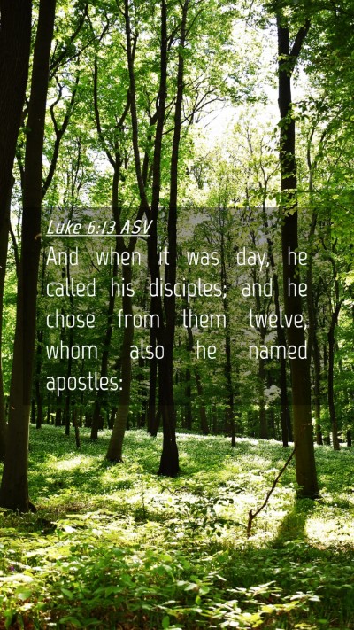 Picture 04 - Luke 6:13 ASV Mobile Phone Wallpaper - And when it was day, he called his disciples; and - Mobile Bible Verse Wallpaper