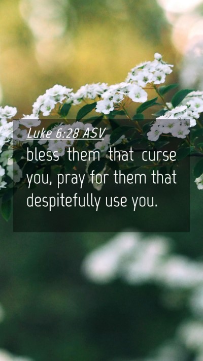 Picture 04 - Luke 6:28 ASV Mobile Phone Wallpaper - bless them that curse you, pray for them that - Mobile Bible Verse Wallpaper