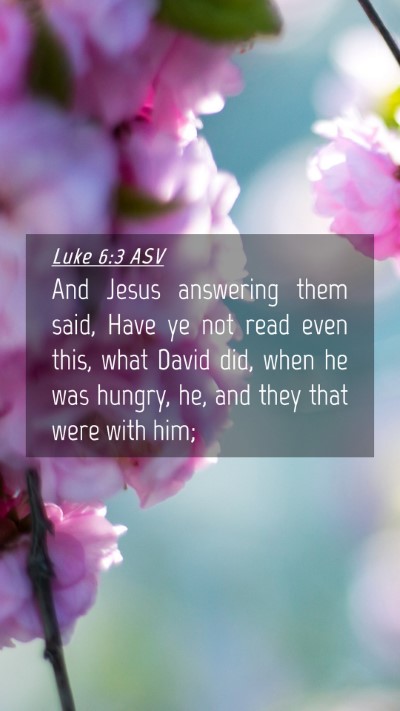 Picture 04 - Luke 6:3 ASV Mobile Phone Wallpaper - And Jesus answering them said, Have ye not read - Mobile Bible Verse Wallpaper