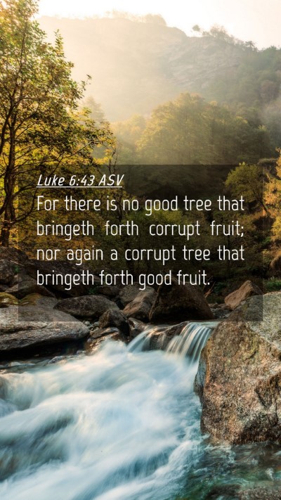 Picture 04 - Luke 6:43 ASV Mobile Phone Wallpaper - For there is no good tree that bringeth forth - Mobile Bible Verse Wallpaper