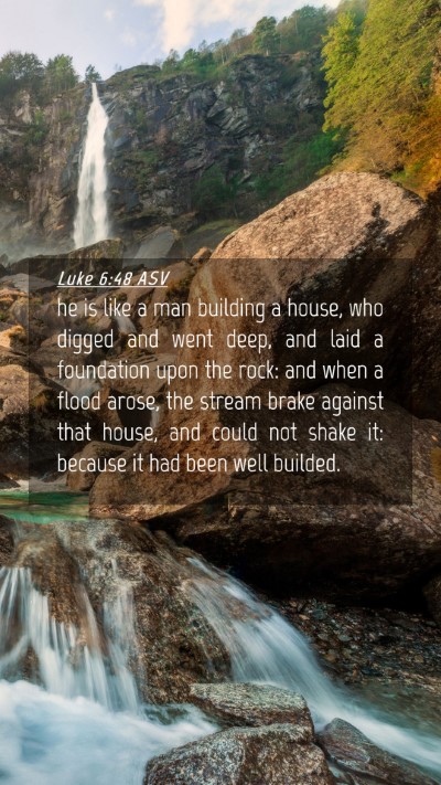 Picture 04 - Luke 6:48 ASV Mobile Phone Wallpaper - he is like a man building a house, who digged and - Mobile Bible Verse Wallpaper