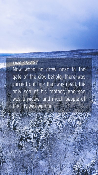 Picture 04 - Luke 7:12 ASV Mobile Phone Wallpaper - Now when he drew near to the gate of the city, - Mobile Bible Verse Wallpaper