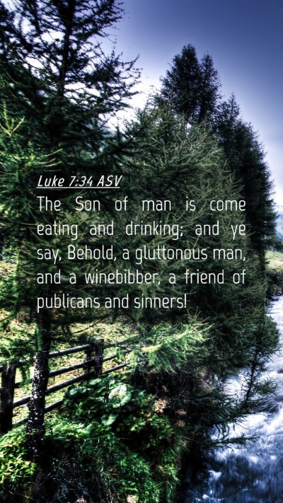 Picture 04 - Luke 7:34 ASV Mobile Phone Wallpaper - The Son of man is come eating and drinking; and - Mobile Bible Verse Wallpaper