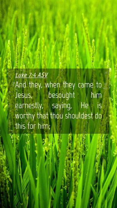 Picture 04 - Luke 7:4 ASV Mobile Phone Wallpaper - And they, when they came to Jesus, besought him - Mobile Bible Verse Wallpaper