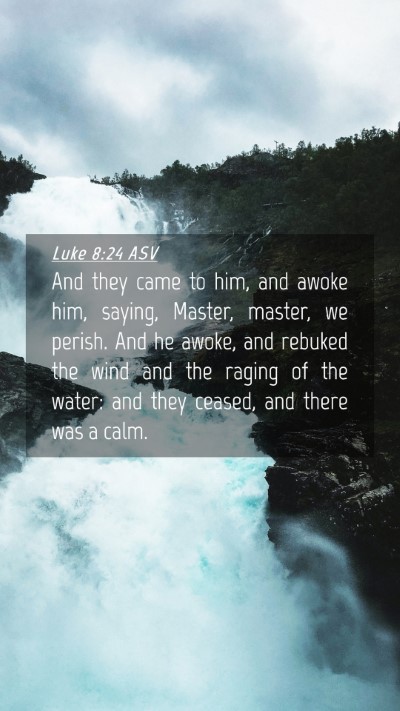 Picture 04 - Luke 8:24 ASV Mobile Phone Wallpaper - And they came to him, and awoke him, saying, - Mobile Bible Verse Wallpaper