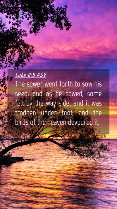 Picture 04 - Luke 8:5 ASV Mobile Phone Wallpaper - The sower went forth to sow his seed: and as he - Mobile Bible Verse Wallpaper