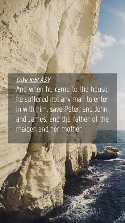 Picture 04 - Luke 8:51 ASV Mobile Phone Wallpaper - And when he came to the house, he suffered not - Mobile Bible Verse Wallpaper