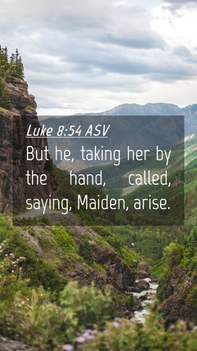 Picture 04 - Luke 8:54 ASV Mobile Phone Wallpaper - But he, taking her by the hand, called, saying, - Mobile Bible Verse Wallpaper