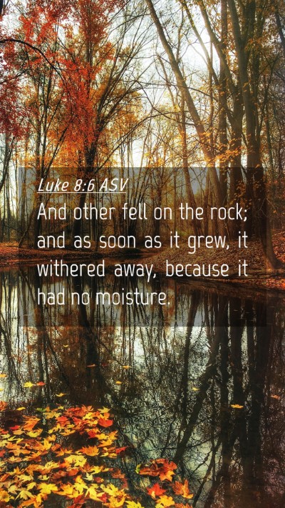 Picture 04 - Luke 8:6 ASV Mobile Phone Wallpaper - And other fell on the rock; and as soon as it - Mobile Bible Verse Wallpaper