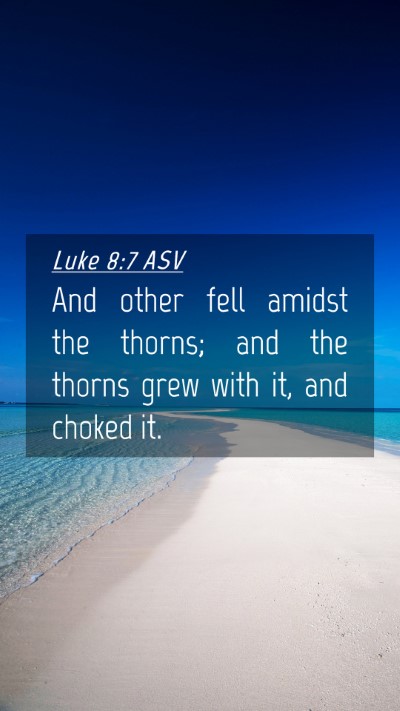 Picture 04 - Luke 8:7 ASV Mobile Phone Wallpaper - And other fell amidst the thorns; and the thorns - Mobile Bible Verse Wallpaper