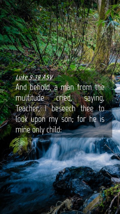 Picture 04 - Luke 9:38 ASV Mobile Phone Wallpaper - And behold, a man from the multitude cried, - Mobile Bible Verse Wallpaper