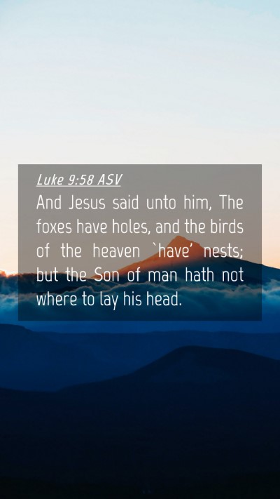 Picture 04 - Luke 9:58 ASV Mobile Phone Wallpaper - And Jesus said unto him, The foxes have holes, - Mobile Bible Verse Wallpaper