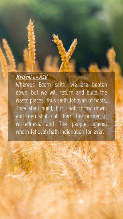 Picture 04 - Malachi 1:4 ASV Mobile Phone Wallpaper - Whereas Edom saith, We are beaten down, but we - Mobile Bible Verse Wallpaper