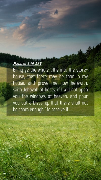 Picture 04 - Malachi 3:10 ASV Mobile Phone Wallpaper - Bring ye the whole tithe into the store-house, - Mobile Bible Verse Wallpaper