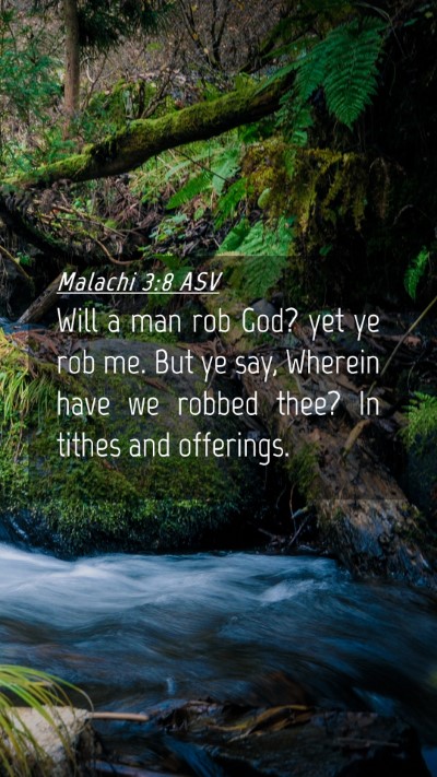 Picture 04 - Malachi 3:8 ASV Mobile Phone Wallpaper - Will a man rob God? yet ye rob me. But ye say, - Mobile Bible Verse Wallpaper
